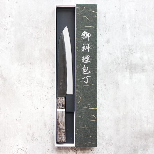 Hatsukokoro Aokitae Gyuto 210mm