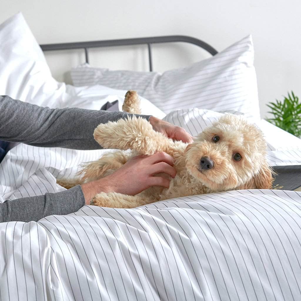 Essential Organic Percale Collection Duvet Cover & Pillowcase Set